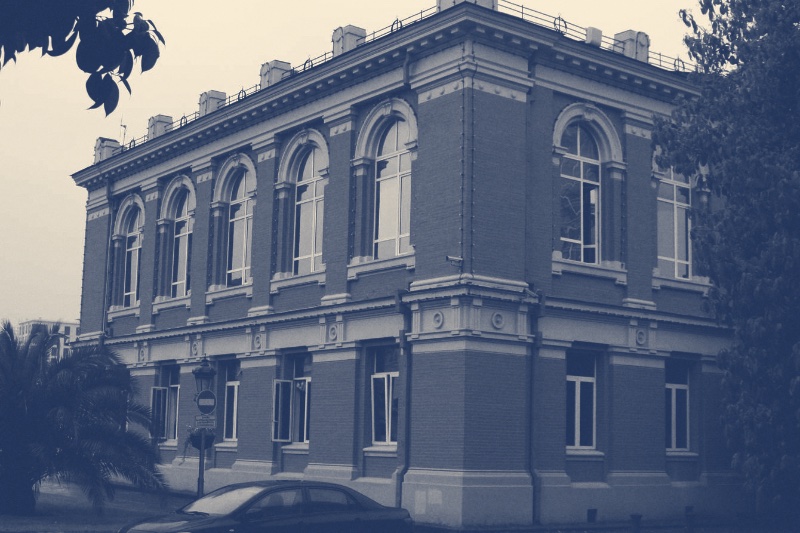 The two-storey red-brick building of the Constitutional Court of Georgia in Batumi, with tall arched upper windows, a palm tree at the left and a parked car in front, in a slate and bone duotone