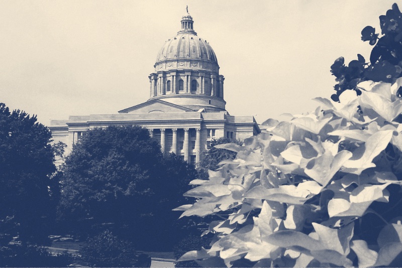 The dome of the Missouri State Capitol in Jefferson City rising behind trees, with bright leaves in the foreground, in a slate and bone duotone