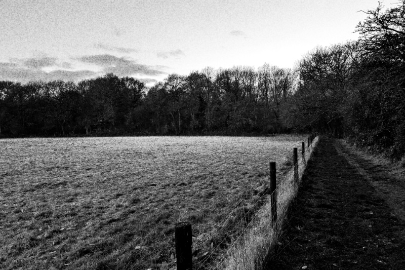 A post and wire fence dividing a field from a footpath, in high contrast black and white with coarse grain