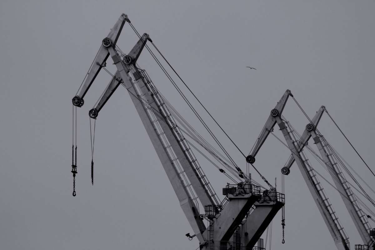 Gray scale photo of crane