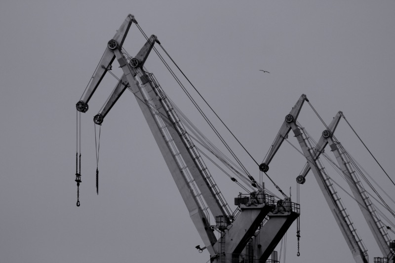Gray scale photo of crane