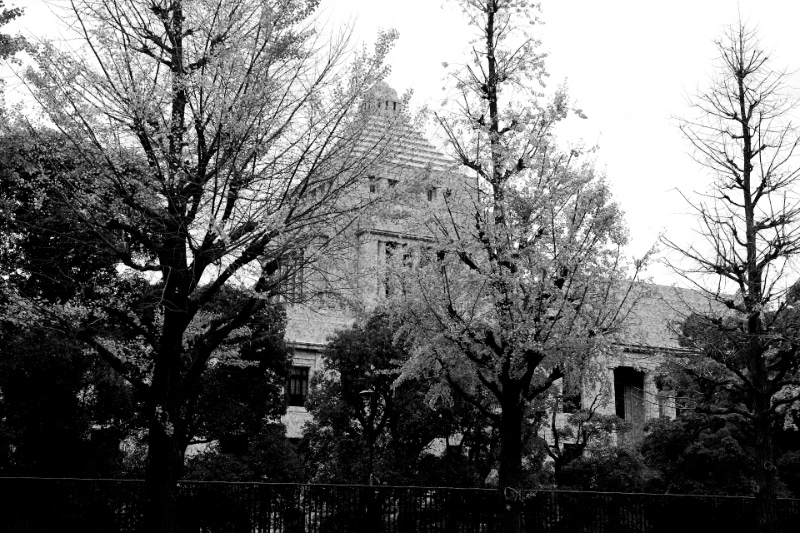 The National Diet Building in Tokyo glimpsed through ginkgo trees in autumn, its stepped tower above the branches, in high contrast black and white with coarse grain
