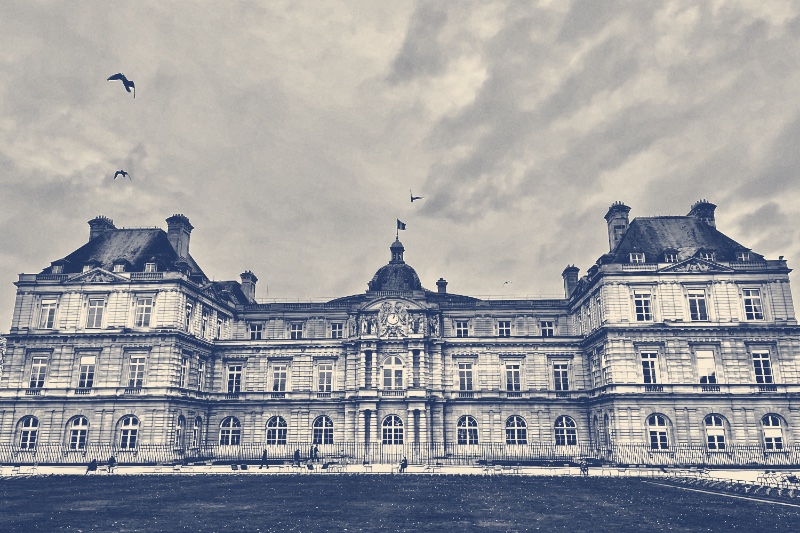 The facade of the Luxembourg Palace in Paris, seat of the French Senate, across an empty lawn under a clouded sky with birds overhead, in a slate and bone duotone