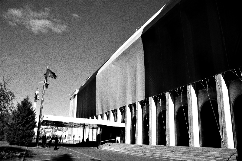 The Victoria Palace in Bucharest, a long colonnaded building draped in a giant flag, with a flagpole and pine tree at the left under a blue sky, in high contrast black and white with coarse grain