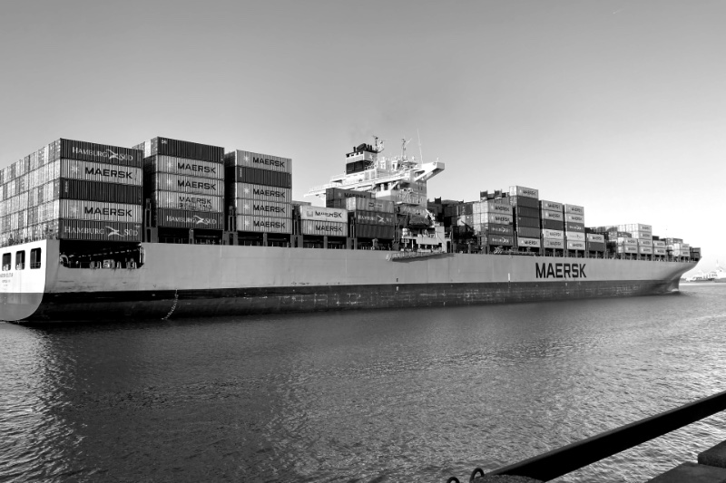 The container ship Maersk Seletar under way on the Savannah River, its hull and stacked containers marked Maersk, seen from a waterfront railing in low sun