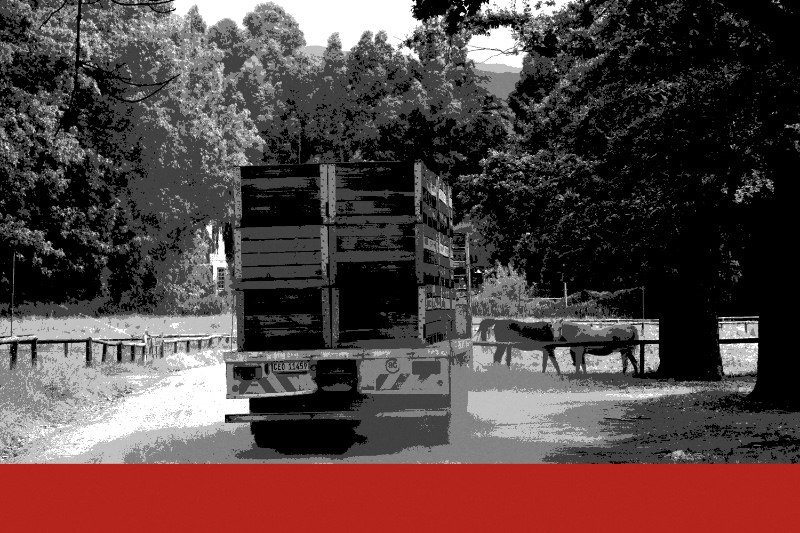A lorry stacked with wooden crates on a dirt farm road, with a paddock and trees alongside, in near black and white with a red bar along the foot
